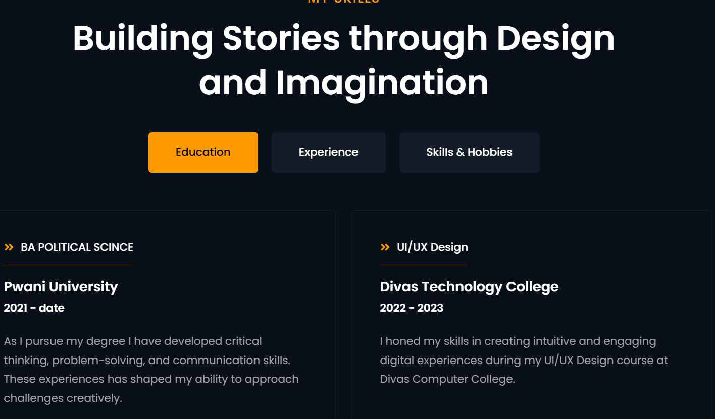 portifolio-website-bluxel-africa-web-design-2