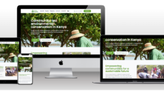 NGO website redesign Kenya